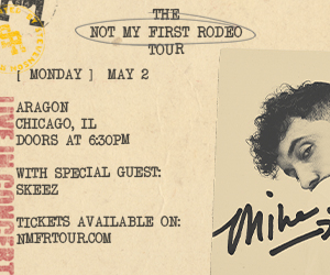 Blogging Tips - book cover, copyright Lorelle VanFossen