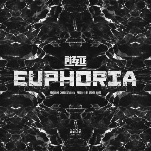 Pizzle f/ Charlie Stardom – Euphoria – Fake Shore Drive®