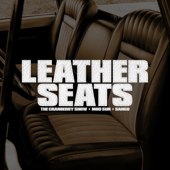 TCS -- Leather Seats