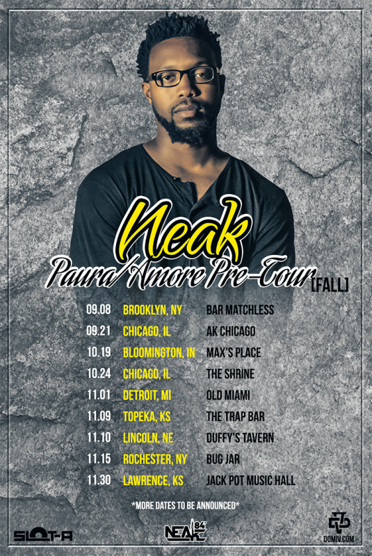 Neak-Tour 2013-WEB