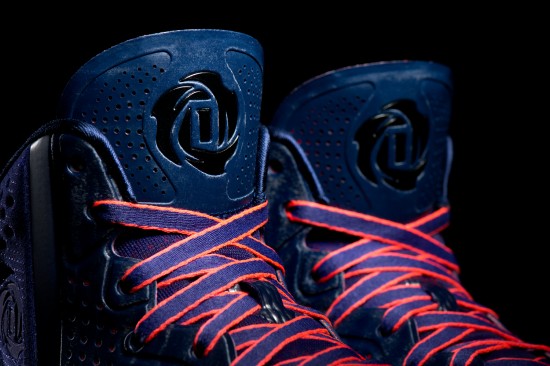 D Rose 4, Michigan Avenue, Detail 3, (G66939)