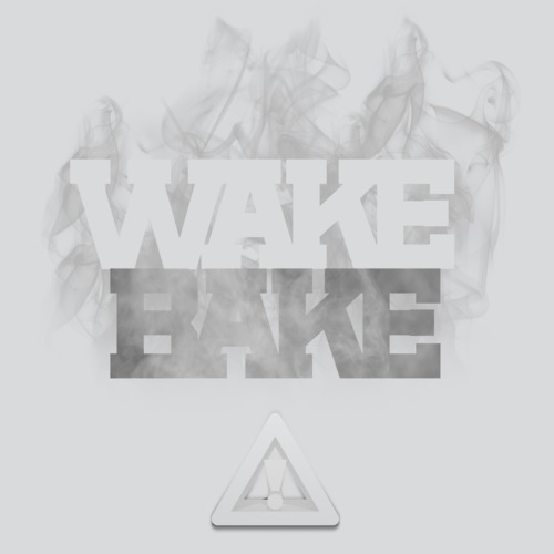 flosstradamus-wake