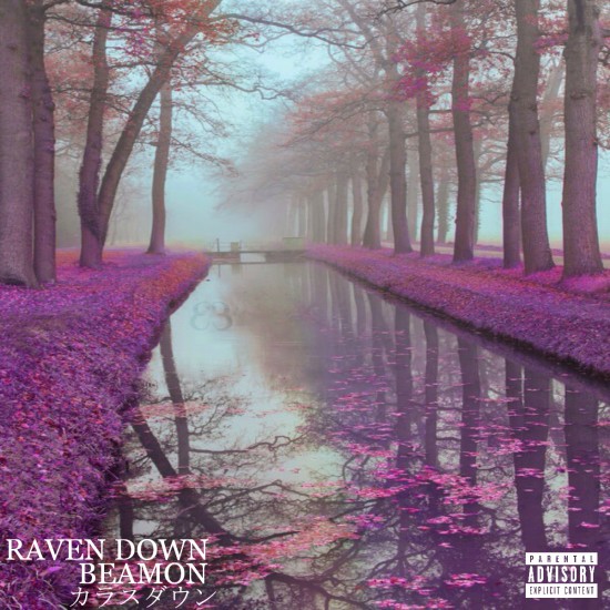 RAVEN DOWN